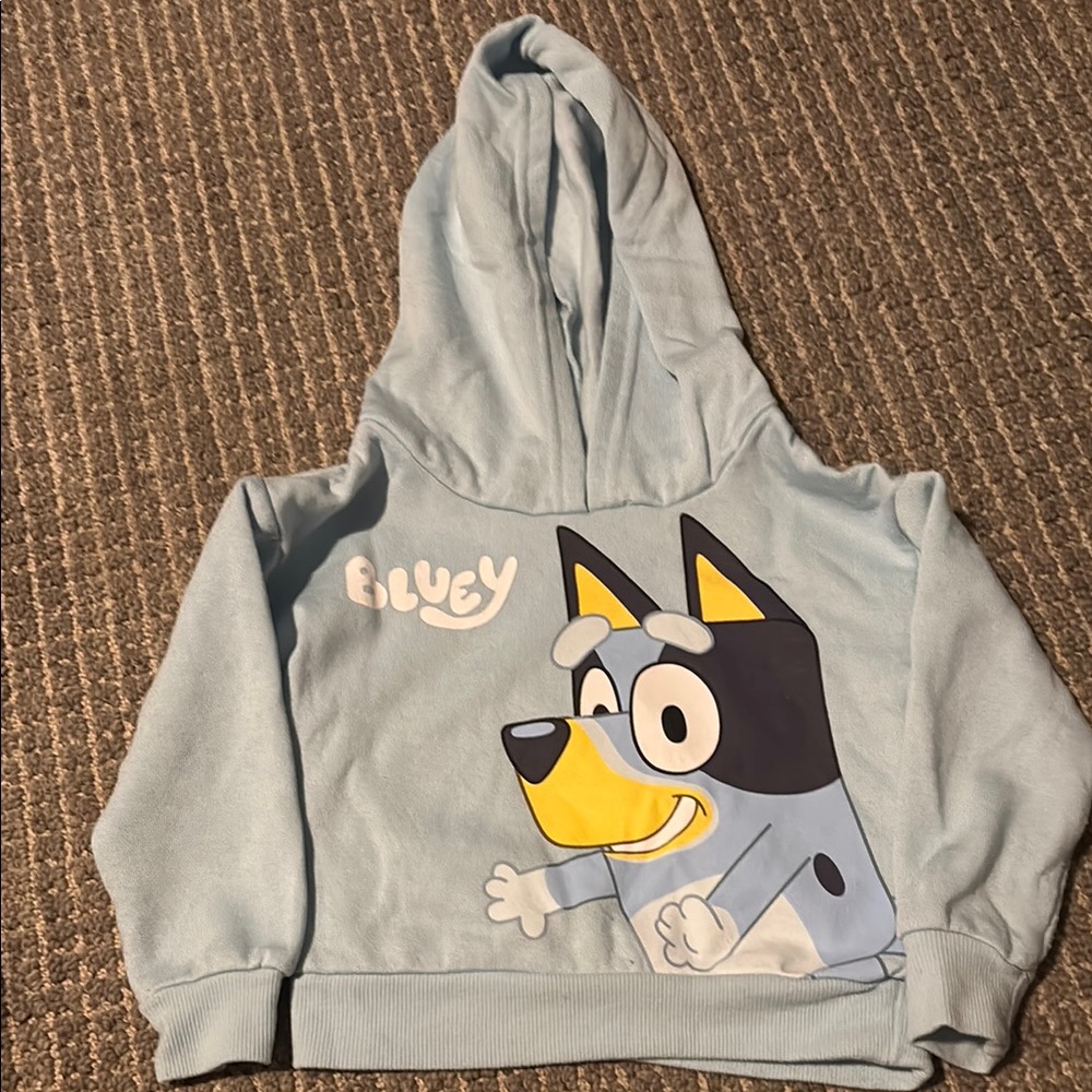 Bluey Kids' Light Blue Hoodie